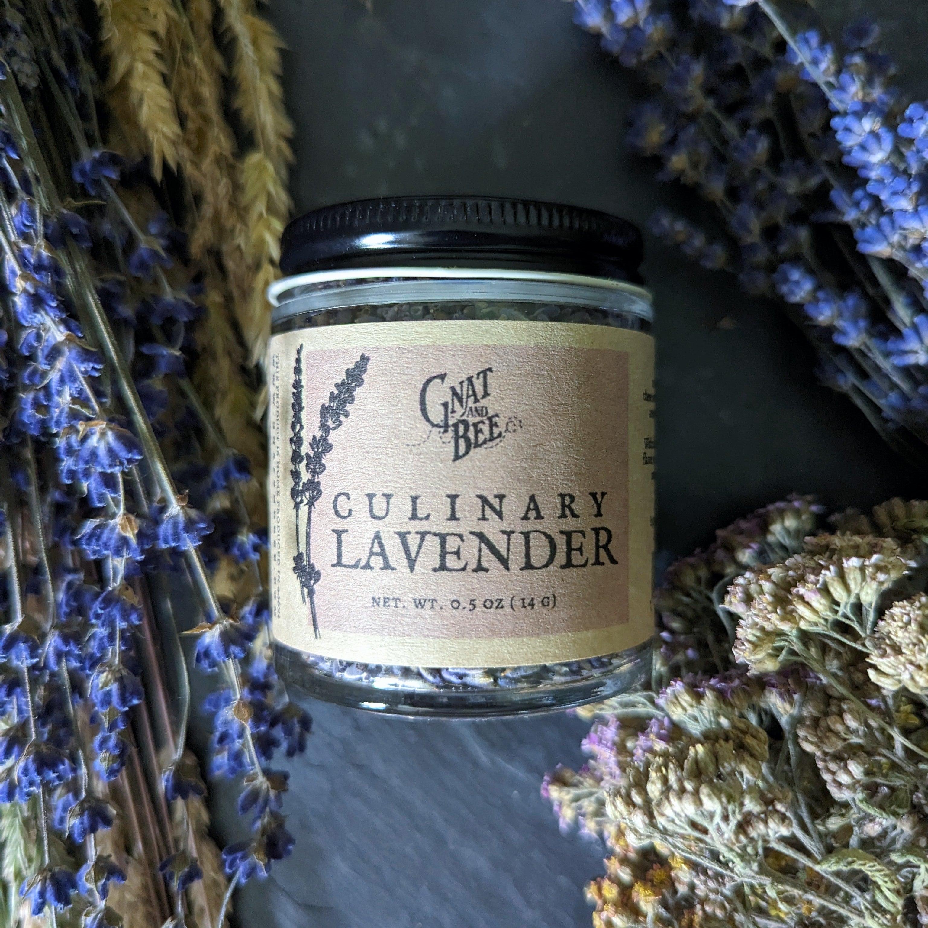 Culinary Lavender – Gnat and Bee